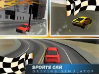 Sports Car Driving Simulator Screen Shot 5