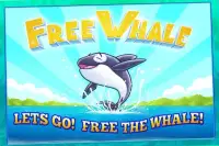 Free Whale Screen Shot 11