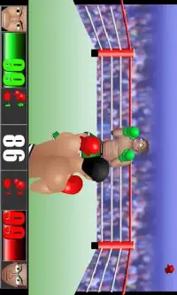 Boxing Fighting Screen Shot 3