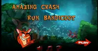 Amazing Crash Run Bandicoot Screen Shot 0