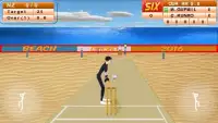 Beach Cricket 2016! Screen Shot 2