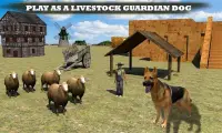 Farm Dog vs Stray Sheep Screen Shot 4