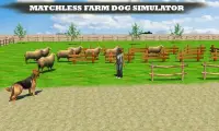 Farm Dog vs Stray Sheep Screen Shot 7