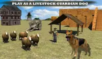 Farm Dog vs Stray Sheep Screen Shot 16