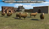 Farm Dog vs Stray Sheep Screen Shot 5
