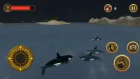 Orca Survival Simulator Screen Shot 4