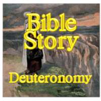 Bible Story Wordsearch Vol 5