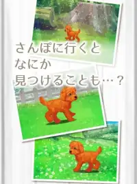 癒しの子犬育成ゲーム〜トイプードル編〜 Screen Shot 7