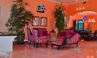 Escape Tangerine Rooms Screen Shot 1