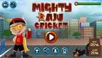 Mighty Raju Cricket Screen Shot 5