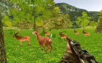 Hunt the Deer 2016 Screen Shot 0