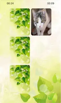 Funny Cat Memory Screen Shot 2