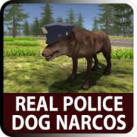 Real Police Dog Narcos