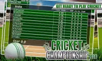 World Cricket Skills 2016 Cup Screen Shot 2