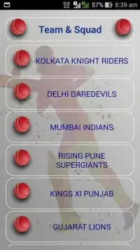 Live Cricket Match Scores 2017 Screen Shot 2