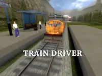 Train Driver - Simulator Screen Shot 0
