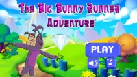 The Big Bunny Runner Adventure Screen Shot 3