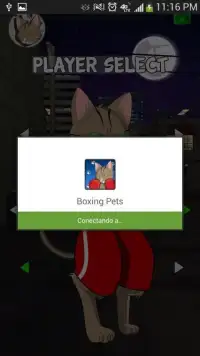 Boxing Pets Screen Shot 2