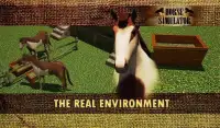 Horse simulator 3D - Free Ride Screen Shot 3
