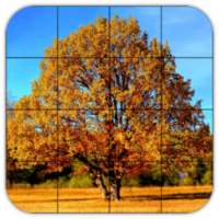 Tile Puzzles · Autumn