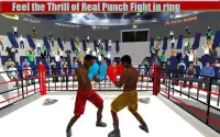 Boxing Legends 3D Screen Shot 5