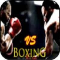 VS Boxing