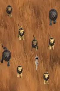 Lion Hunting Simulator 2016 Screen Shot 0