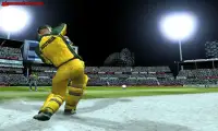 Cricket War Screen Shot 0