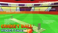 Cricket Ball Wicket Smash Screen Shot 0
