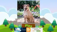 Dog Names: Dog Breeds Games Screen Shot 5