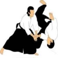 Techniques de Base Aikido