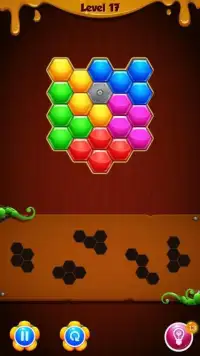 Hexa Puzzle Block Mania Screen Shot 0