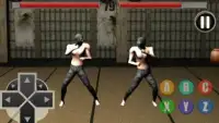 Kungfu Ninja 3D  gratis Screen Shot 11
