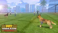 Pet Simulator - Dog Games Screen Shot 2