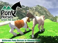 Pony Horses Green Hill Sim 3D Screen Shot 2