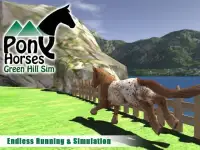 Pony Horses Green Hill Sim 3D Screen Shot 5