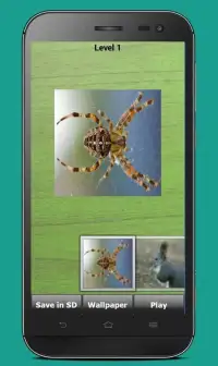 لعبة تركيب الحيوانات للاطفال Screen Shot 0