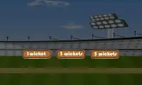T20 Cricket Game ipl 2017 Free Screen Shot 2