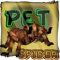 Spider Pet