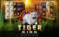 Slots Tiger King Casino Slots Screen Shot 9