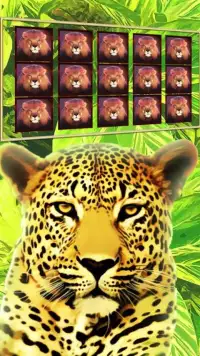 Safari Slots – Wild Gold Lion Screen Shot 1