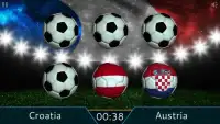 Euro Cup Flags 2016 Screen Shot 6