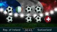 Euro Cup Flags 2016 Screen Shot 4