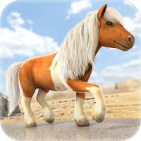 فرس قزم لعبة سباق | Pony Game