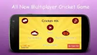 Cricket Hit Screen Shot 5