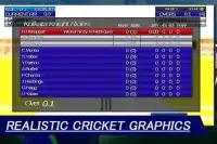 Premier League Cricket Craze Screen Shot 2