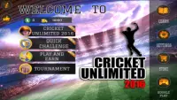 Cricket Unlimited 2016 Screen Shot 6