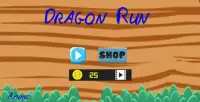 Dragon Run Screen Shot 2