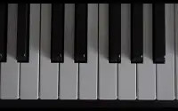 Piano Keyboard Tap Screen Shot 1