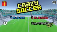 Crazy Soccer Fun 3D - 2 Player Screen Shot 3